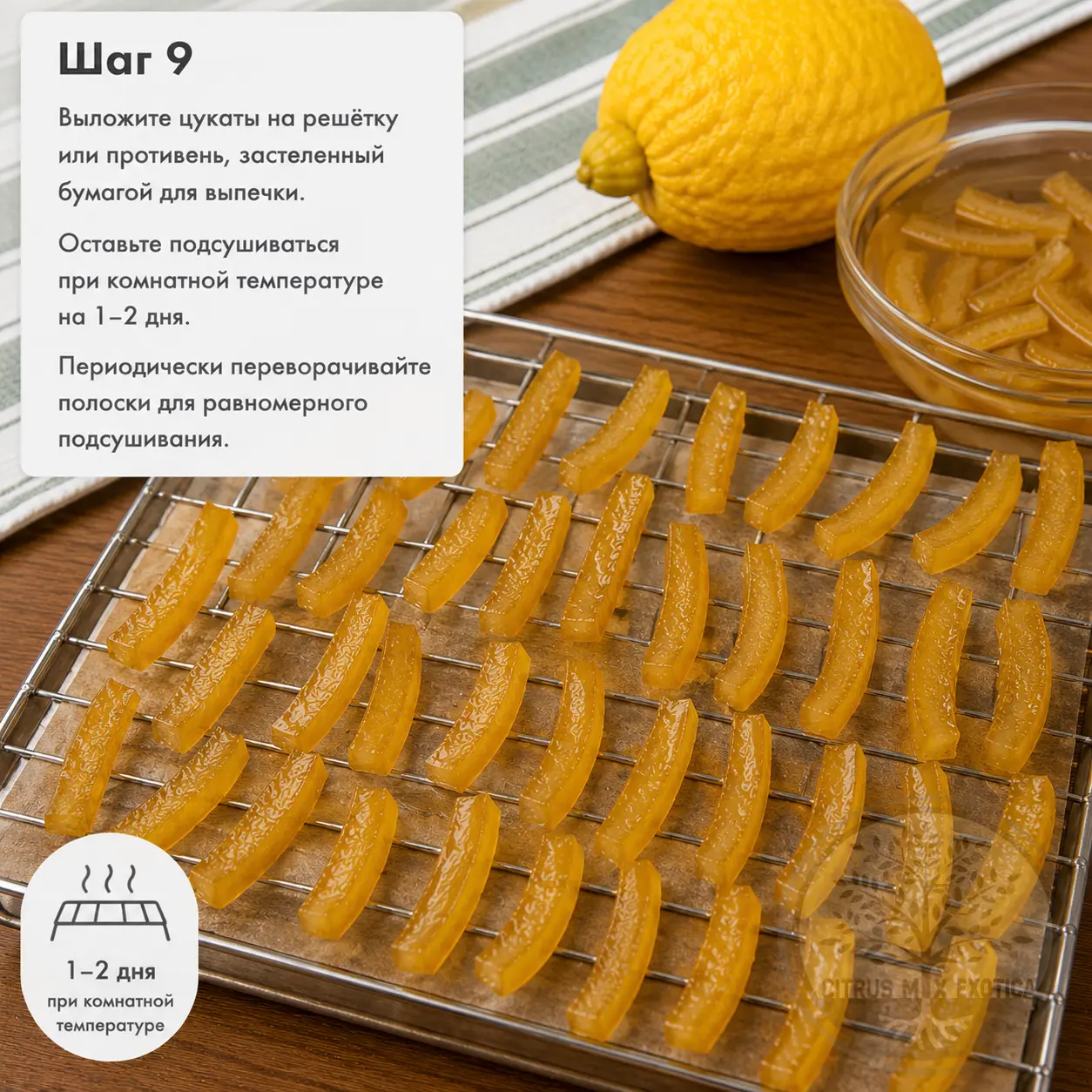 Сушка цукатов из цитрона на решётке